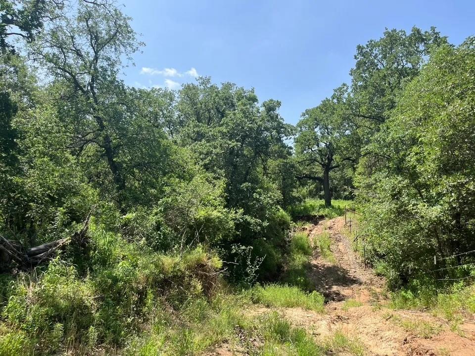Lot 44 Antrim Court