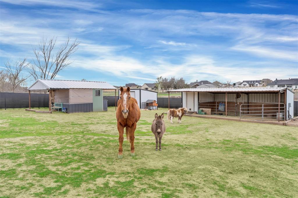 Weatherford, Texas 76088, United States, 3 Bedrooms Bedrooms, ,3 BathroomsBathrooms,Residential,Active,93295