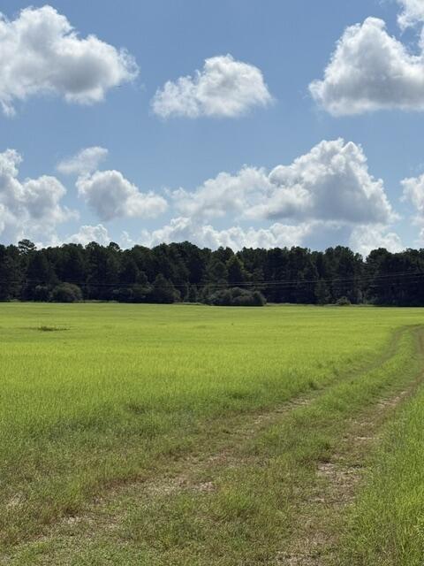 Photo of 0 An Cnounty Road 1231, Palestine, TX 75801 (MLS # 21392610)