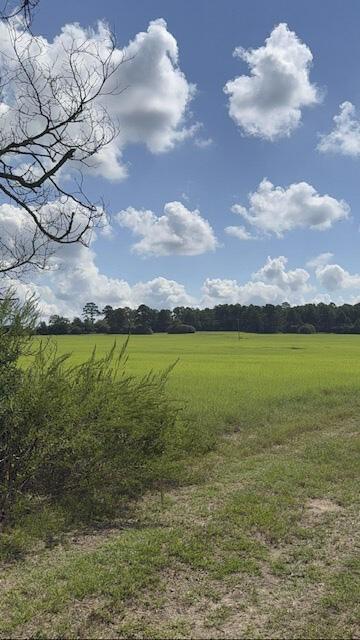 Photo of 0 An Cnounty Road 1231, Palestine, TX 75801 (MLS # 21392610)