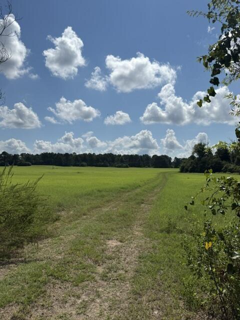 Photo of 0 An Cnounty Road 1231, Palestine, TX 75801 (MLS # 21392610)