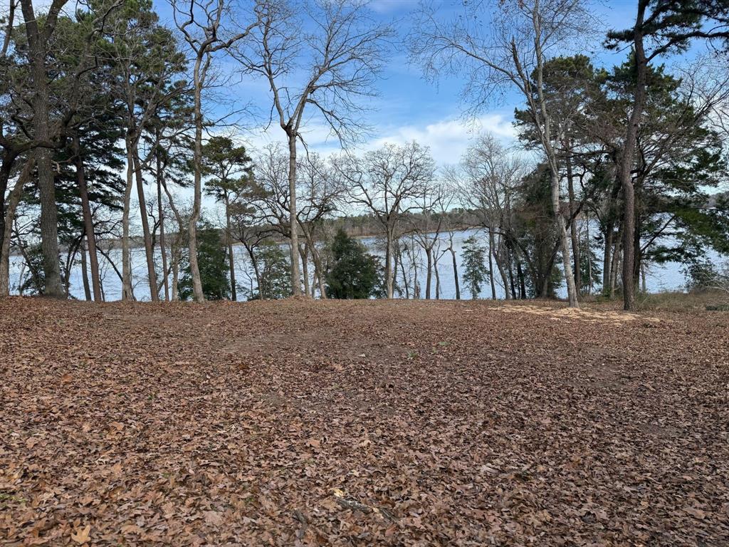 Legacy Shores - Land