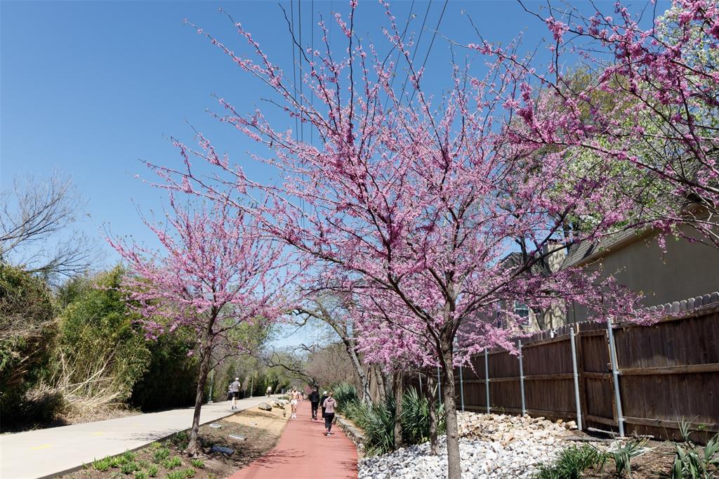 4044 Buena Vista 104