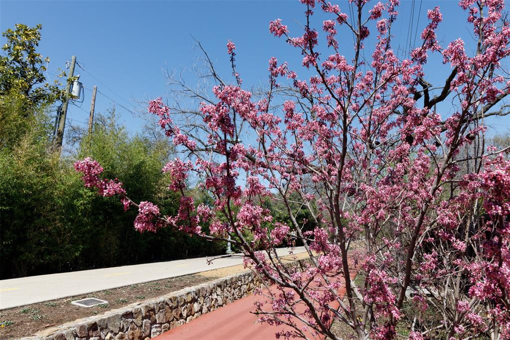 Buena Vista Condo 4044 - Residential