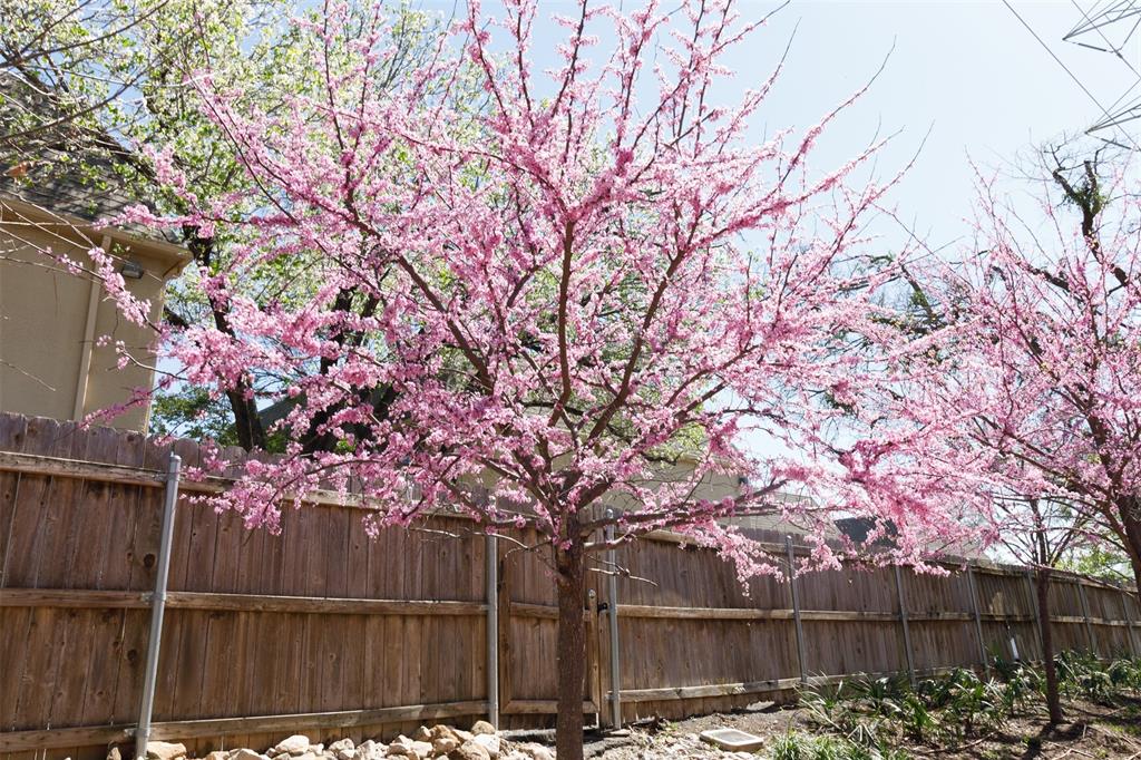 4044 Buena Vista 104