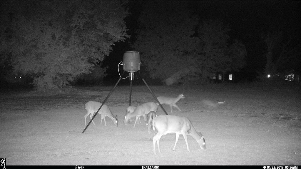 Preserve At Union Valley - Land