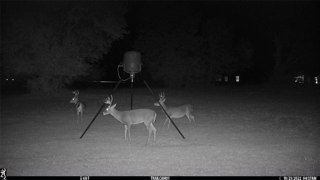 Preserve At Union Valley - Land