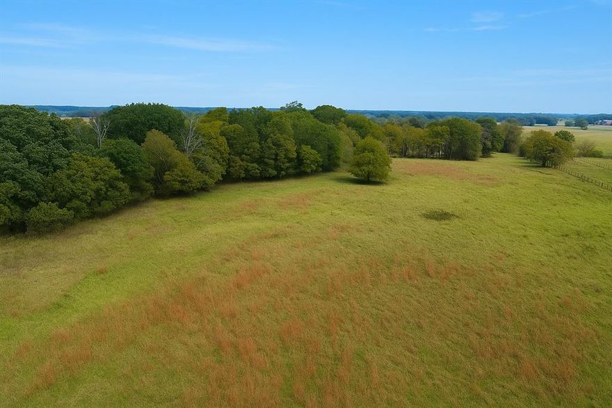Enjoy the best of both worlds with this gorgeous property featuring mature trees and open pastures — the ideal setting to build the DREAM HOME you’ve always wanted! Conveniently located just 15 minutes from I-20.