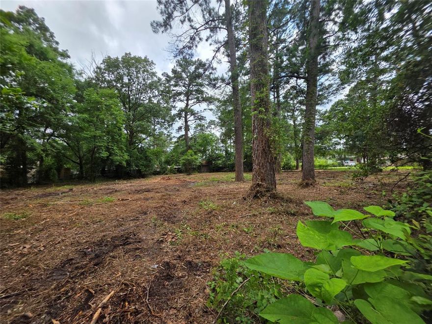 This .65acre unimproved lot near Lake Palestine presents a raw, natural landscape, offering a blank canvas for residential development. Located in the picturesque East Texas region, the lot is characterized by its untouched state, typical of the Piney Woods environment. The land is primarily covered with a mix of native vegetation, including mature pine trees, various hardwoods, and an understory of brush and natural grasses. There are existing man-made structures on the property—sheds, driveway with culvert, traditional septic system and cleared pathways.