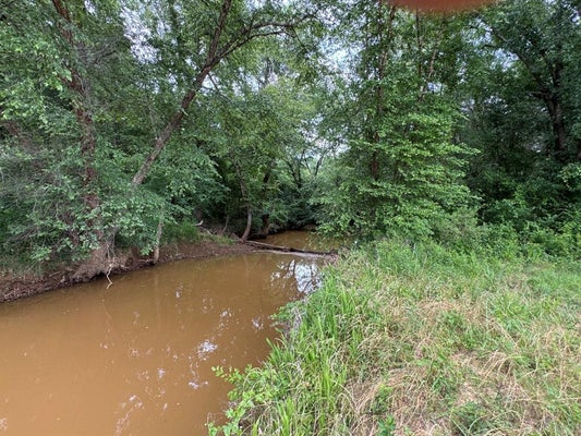 259 DEANS LN, HALLSVILLE, TX 75650 - Image f65dbc84bfee34a32cce66fb16de2780/1489816935