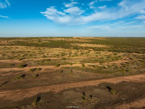 Photo of 13558 A County Road 440, Merkel, TX 79536 (MLS # 21159799)