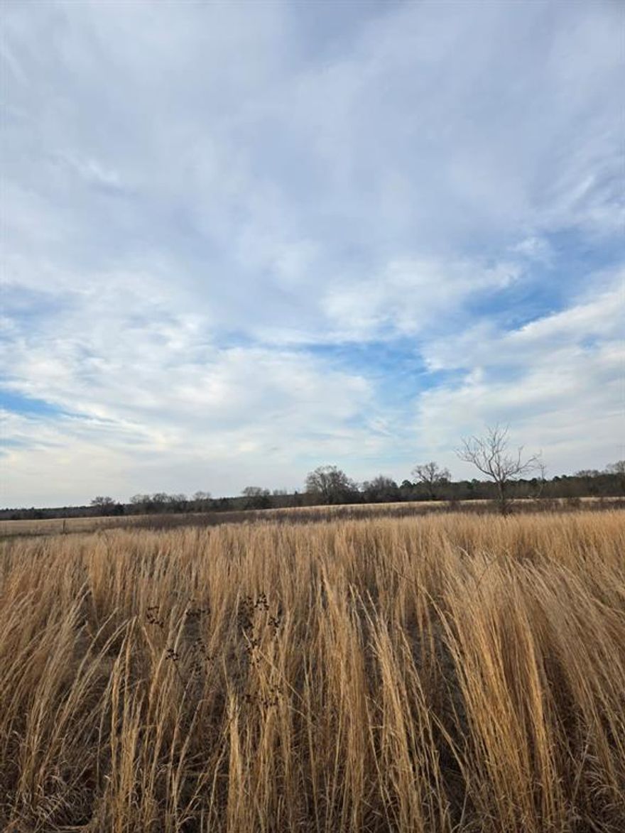 Build your dream home on this beautiful, level piece of land in Winnsboro, TX! Perfectly suited for new construction, this
property offers a smooth, build-ready landscape with utilities nearby for added convenience. Whether you’re envisioning a
cozy country retreat or a spacious custom home, this lot provides the ideal foundation. Experience country living at its finest
while still being just minutes from Lake Winnsboro. Spend your days enjoying fishing, boating, peaceful lake views, and the
relaxed lifestyle that comes with living close to the water. If you’ve been searching for the perfect place to create your own
slice of East Texas paradise, this is it. Come see this beautiful property today and start planning your future!