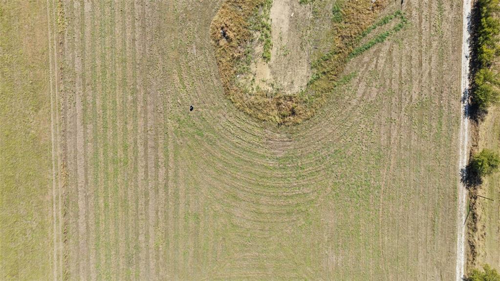 Bbb & Crr Surv Abs # 167 - Land