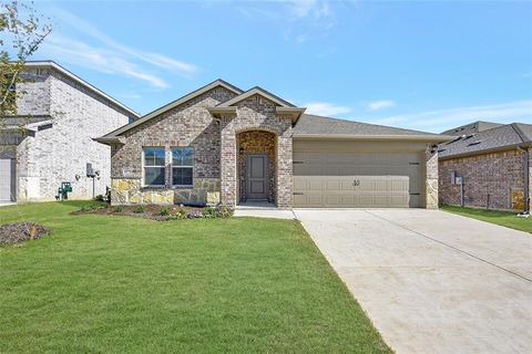 Photo of 4121 Amethyst Drive, Celina, TX 75009 (MLS # 21255398)