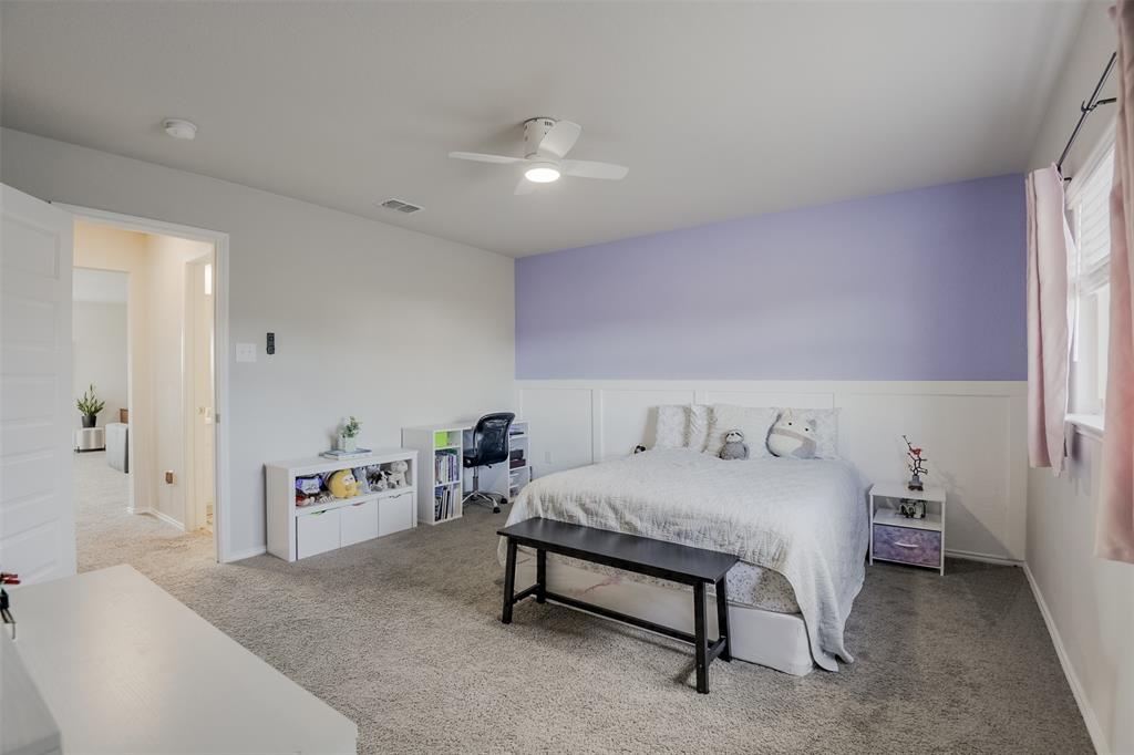 Palmilla Springs - Residential