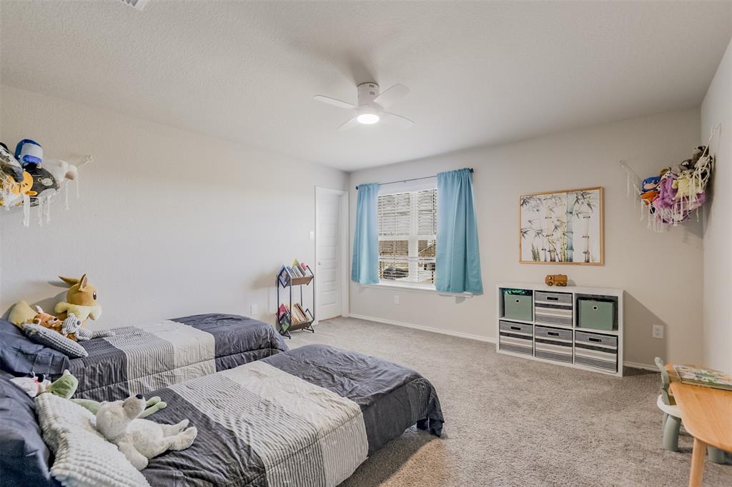 Palmilla Springs - Residential