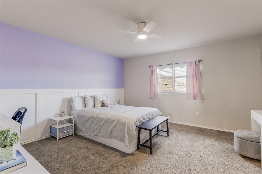 Palmilla Springs - Residential