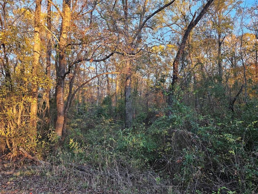 Discover the perfect canvas for your vision on this peaceful 2.2± acre tract in Lindale, TX. Tucked away on County Road 4108, this beautifully wooded property offers privacy, natural beauty, and endless potential. The land is currently undeveloped and ready for clearing, giving you the freedom to shape it exactly the way you want—whether you're planning a homesite, weekend getaway, or investment opportunity. A seasonal creek runs along one side of the property, adding charm and character to the landscape, while the gentle elevation change enhances the terrain without limiting build options. Mature trees blanket the property, creating a serene East Texas feel and offering the possibility for a secluded homesite surrounded by nature. Located in the highly desired Lindale ISD and just minutes from town conveniences, this tract provides the best of both worlds—quiet country living with easy access to schools, shopping, and dining. Bring your ideas and make this raw land your own. Opportunities like this don’t come often!