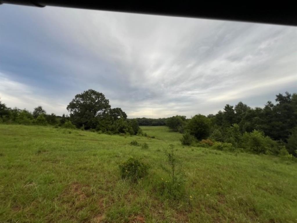 Branch Valley Ranch - Farm