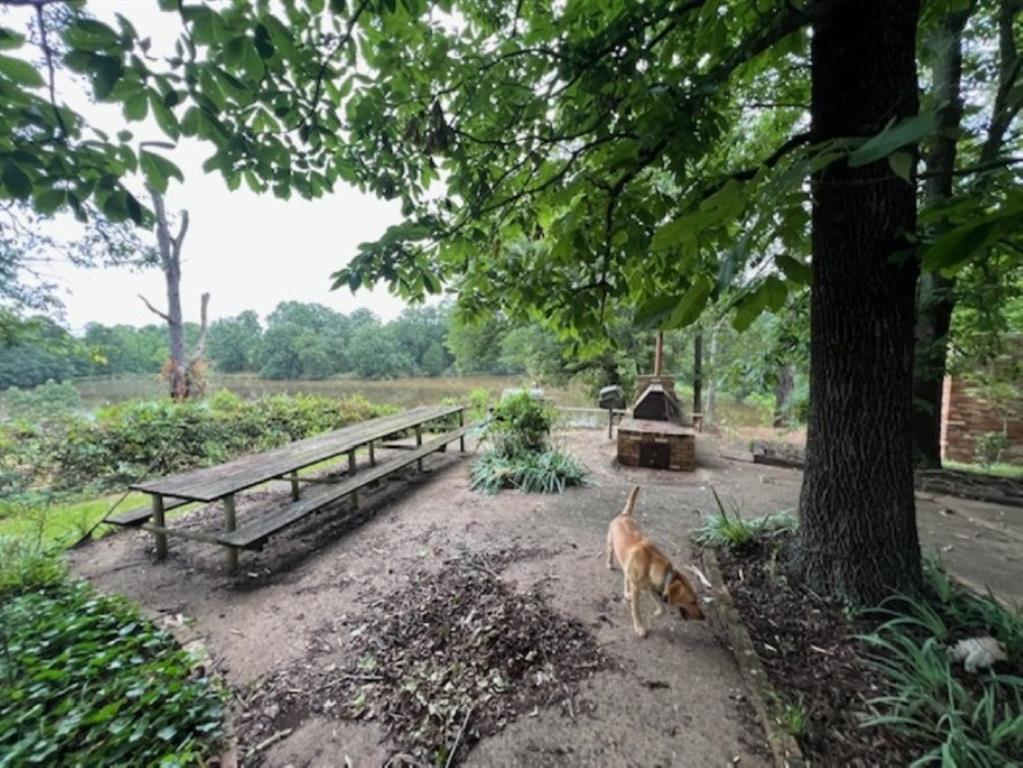 Branch Valley Ranch - Farm