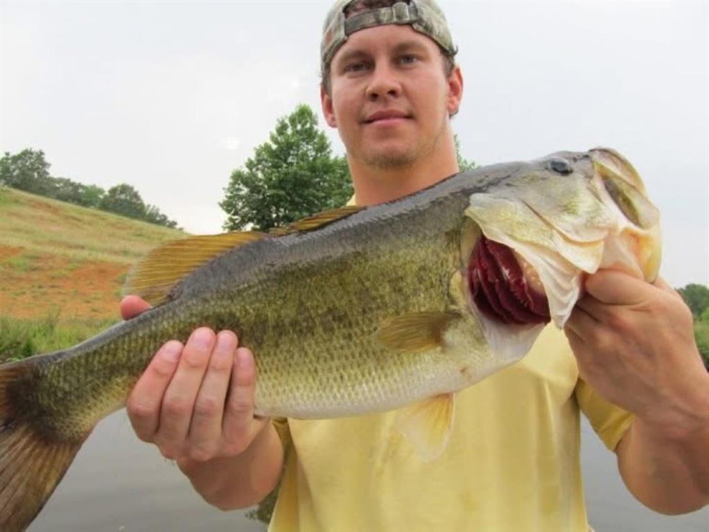 Branch Valley Ranch - Farm