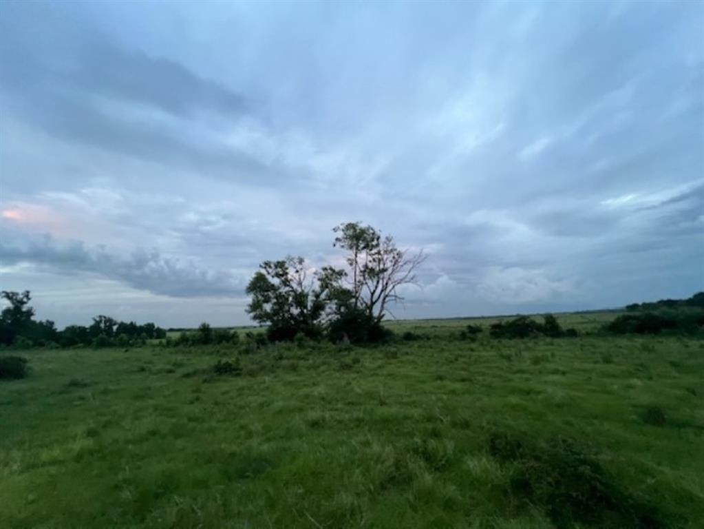 Branch Valley Ranch - Farm