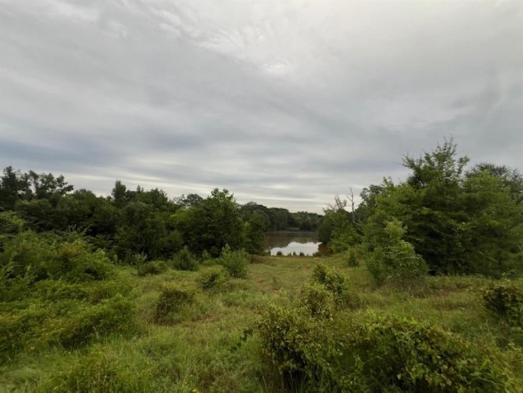 Branch Valley Ranch - Farm