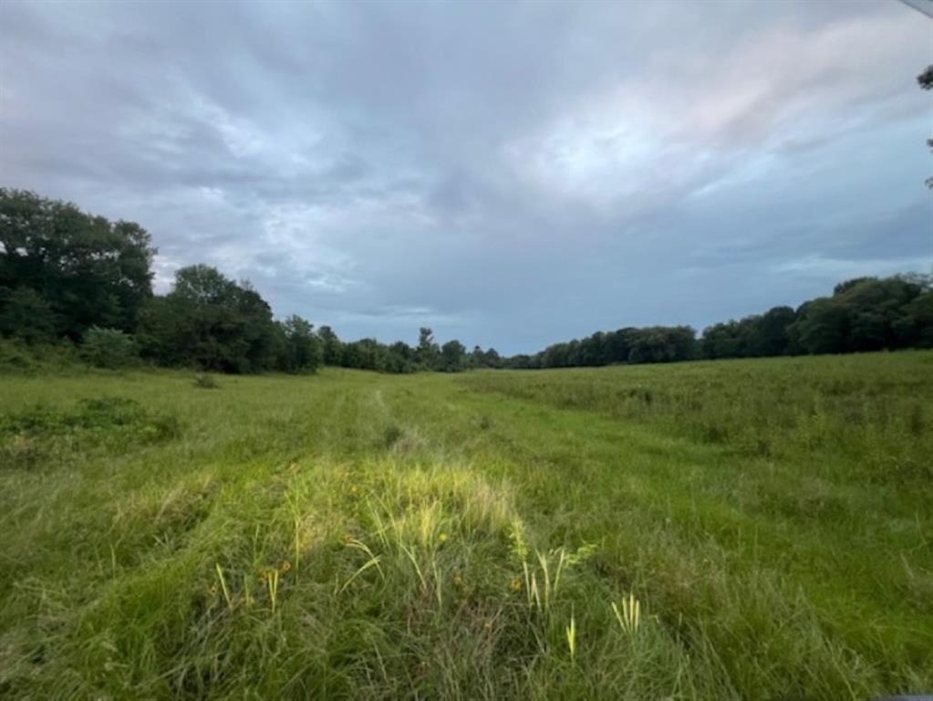 Branch Valley Ranch - Farm