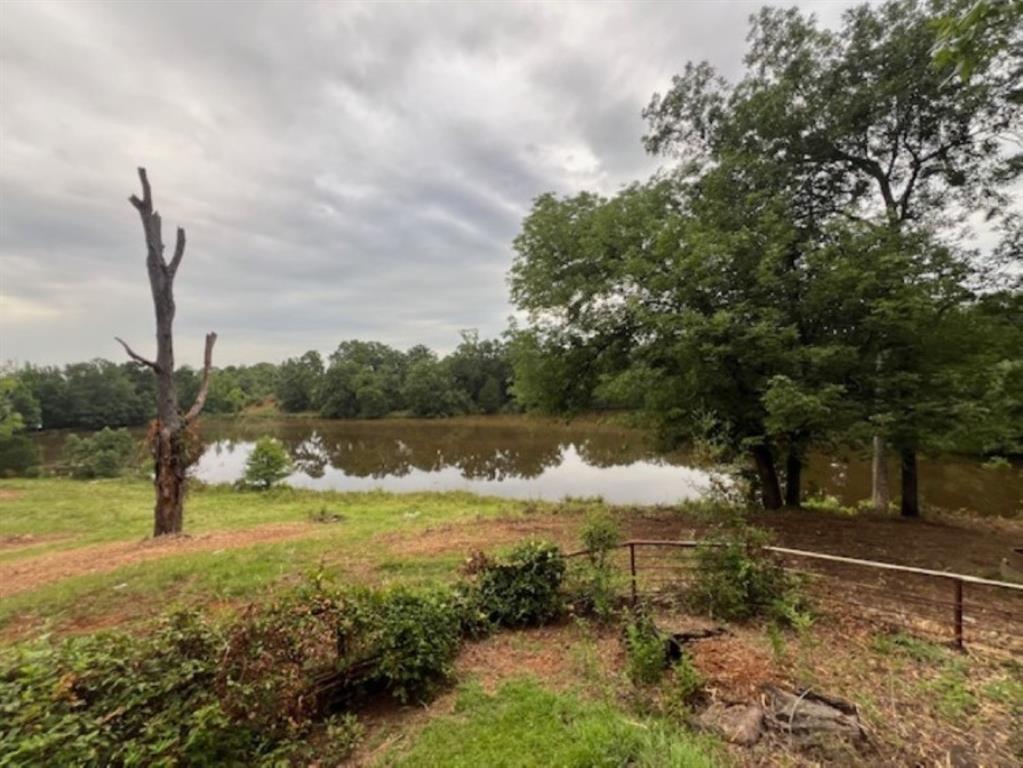 Branch Valley Ranch - Farm