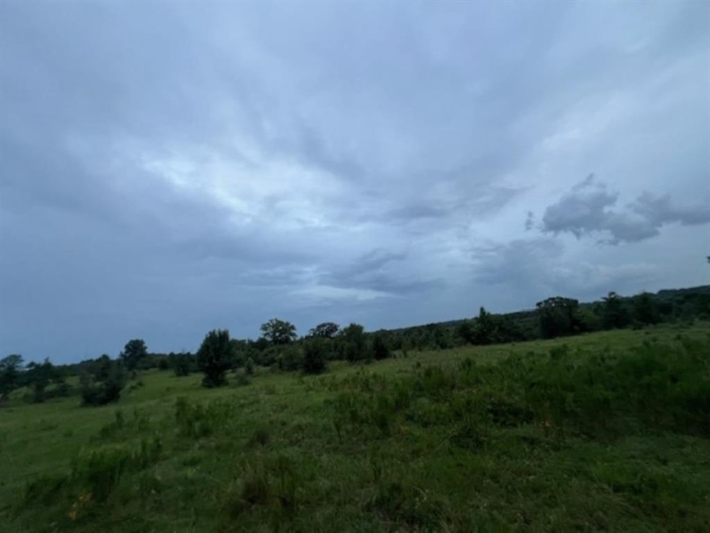 Branch Valley Ranch - Farm