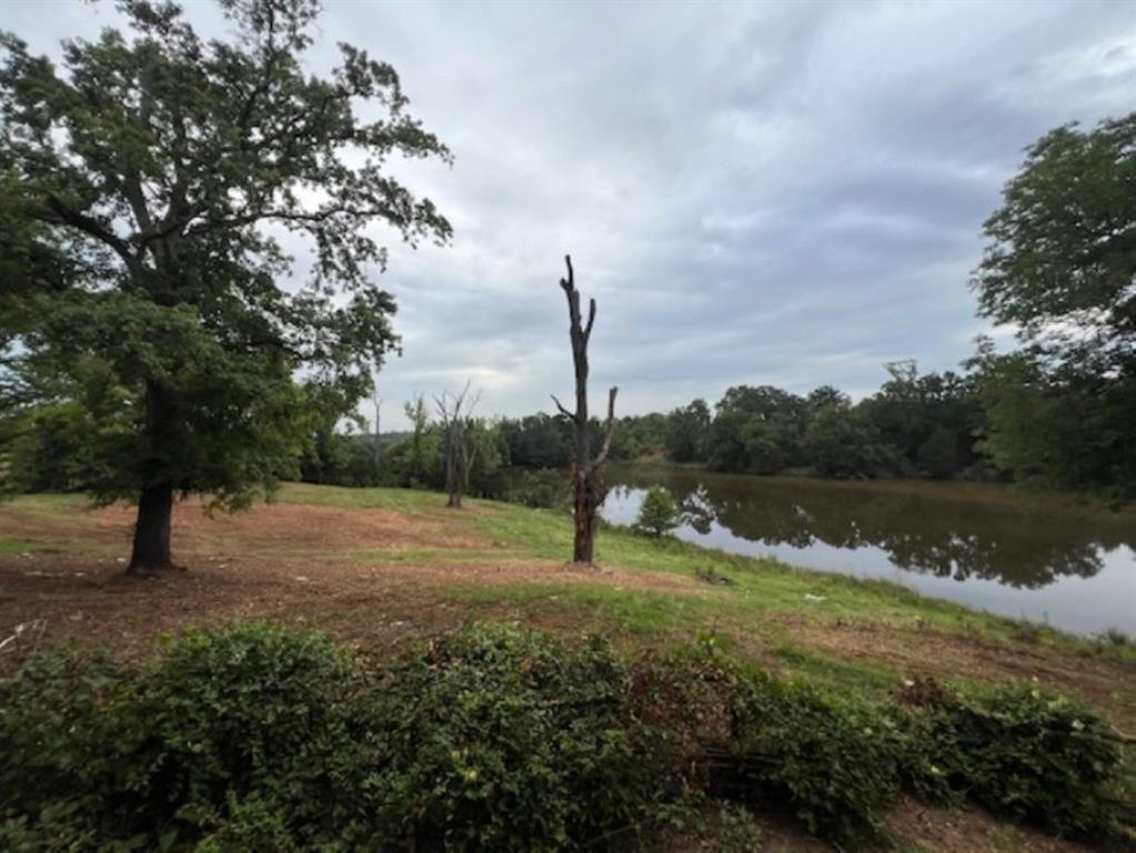 Branch Valley Ranch - Farm