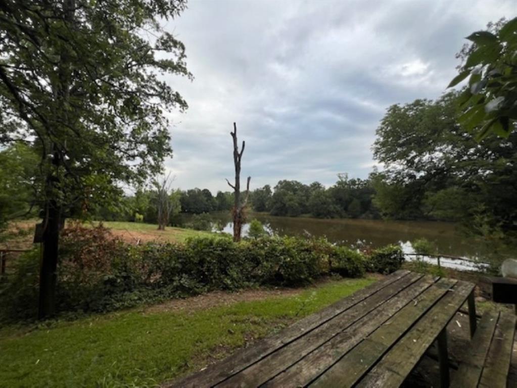 Branch Valley Ranch - Farm