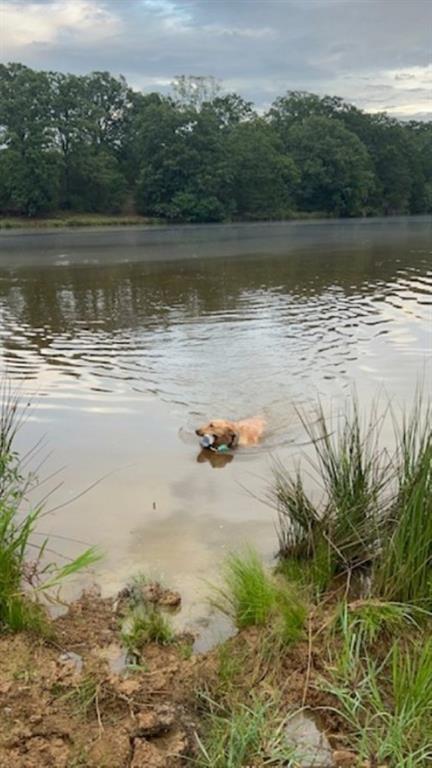 Branch Valley Ranch - Farm