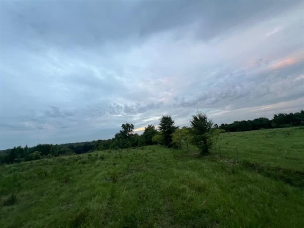 Branch Valley Ranch - Farm