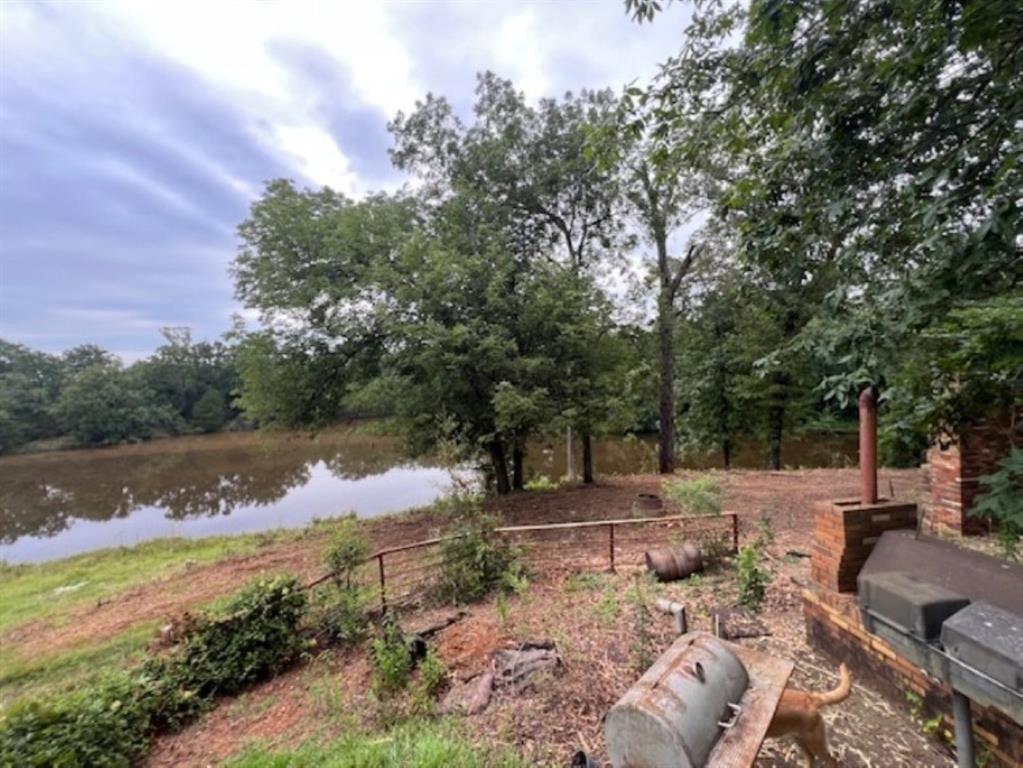 Branch Valley Ranch - Farm