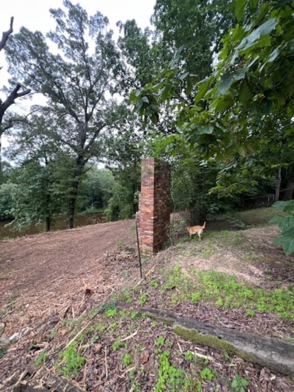 Branch Valley Ranch - Farm