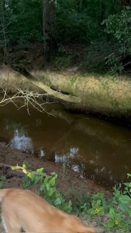 Branch Valley Ranch - Farm