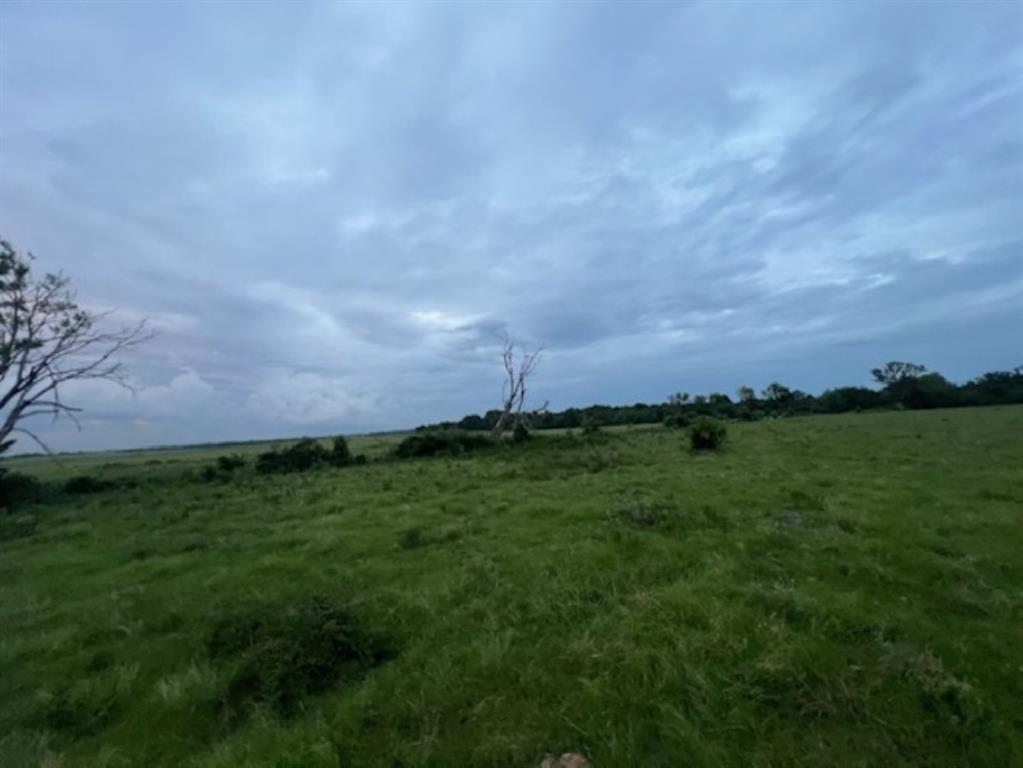 Branch Valley Ranch - Farm