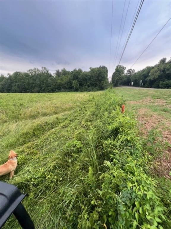 Branch Valley Ranch - Farm