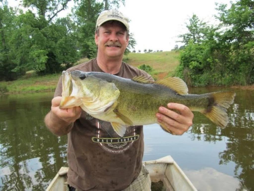 Branch Valley Ranch - Farm