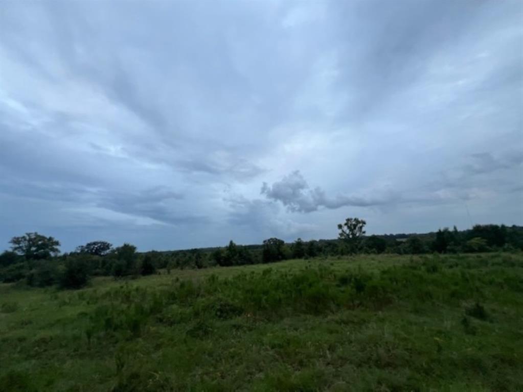 Branch Valley Ranch - Farm