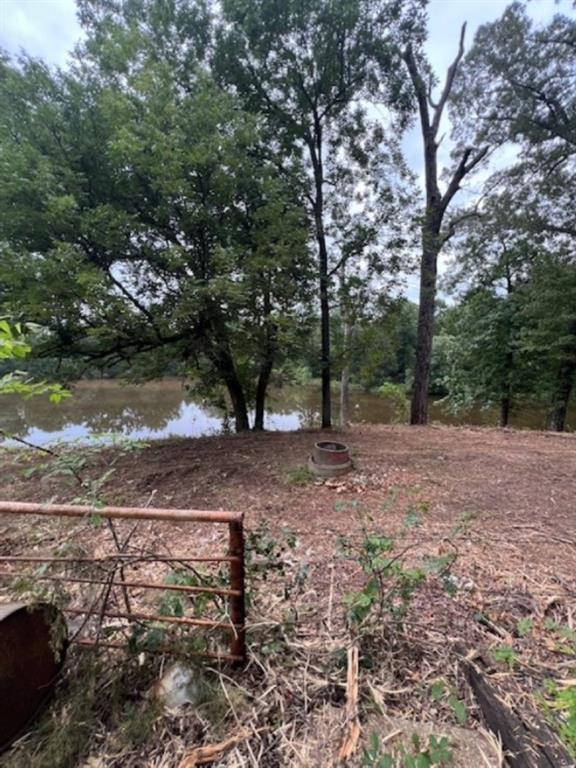 Branch Valley Ranch - Farm