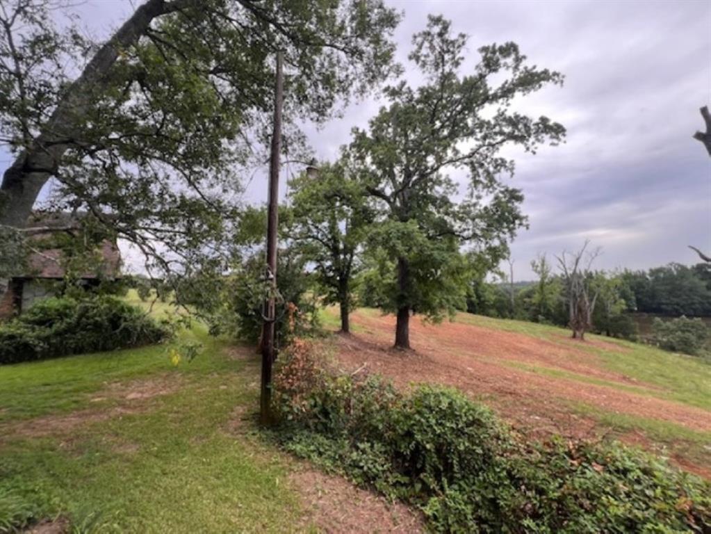 Branch Valley Ranch - Farm