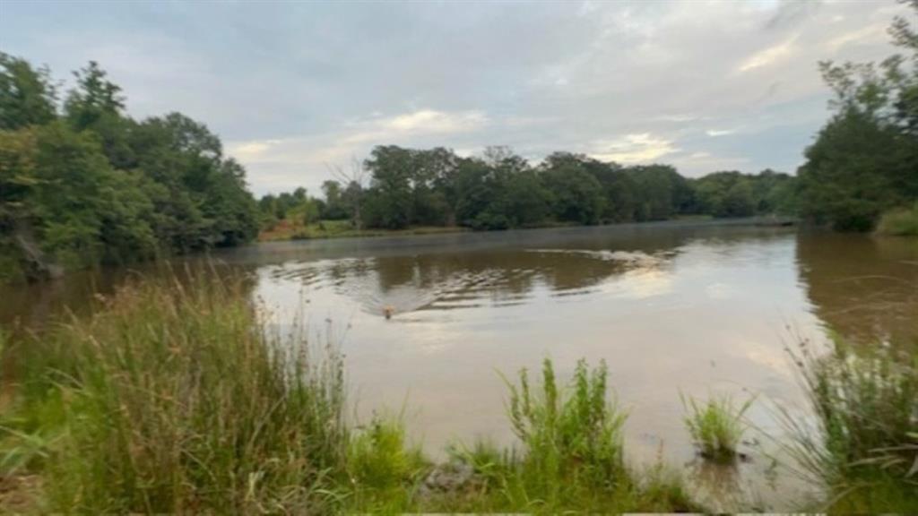 Branch Valley Ranch - Farm