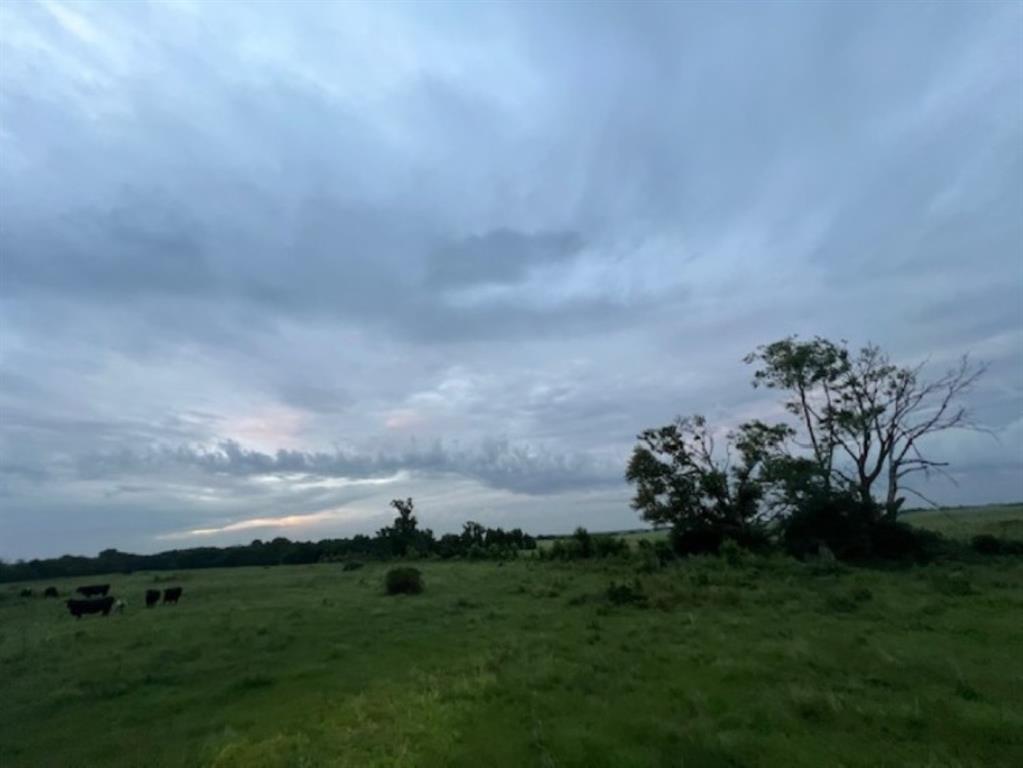 Branch Valley Ranch - Farm