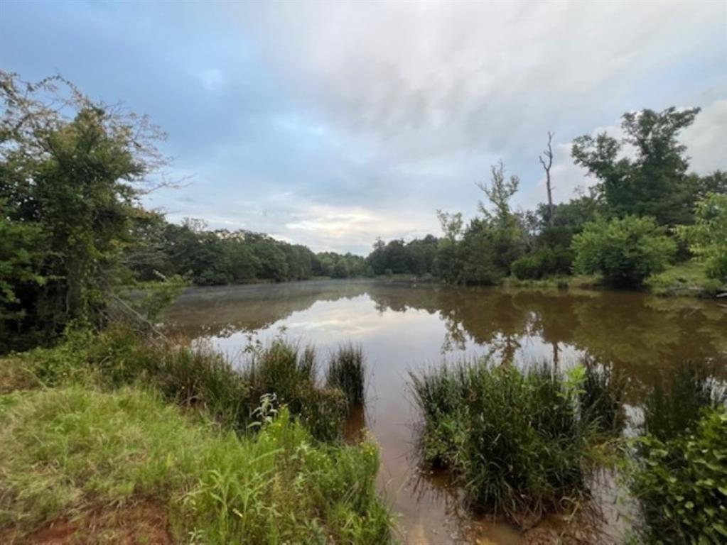 Branch Valley Ranch - Farm