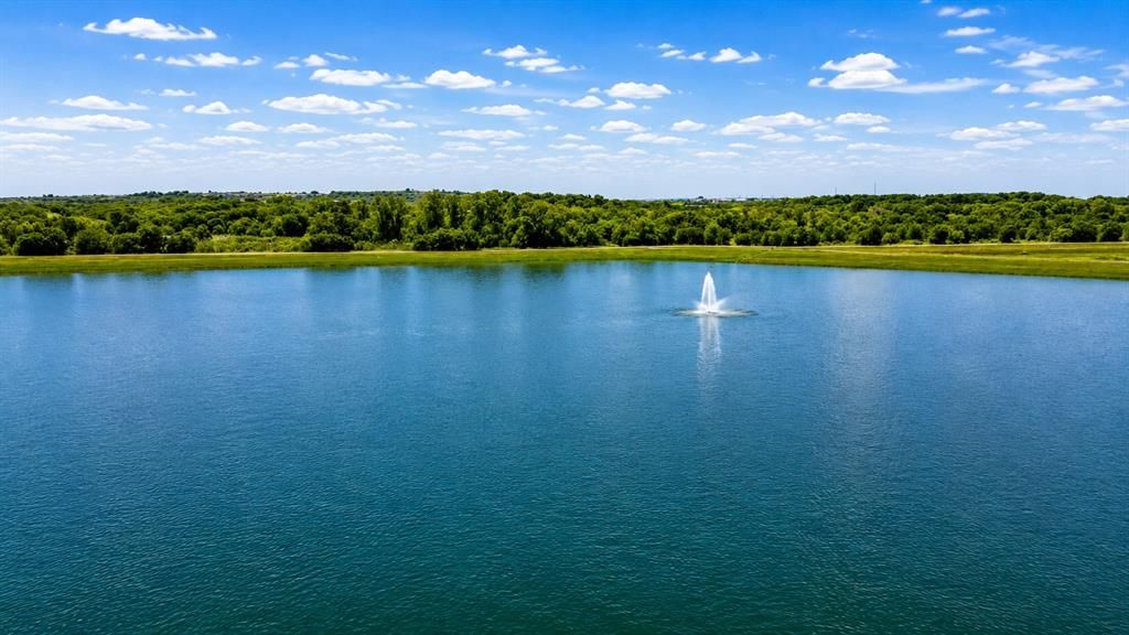 Photo of 8416 Whistling Duck Drive, Fort Worth, TX 76118 (MLS # 21301919)