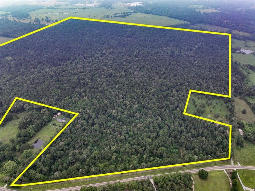 Stop Scrolling! Prime tract of land. Natural and wooded within 2.5 miles of US 59, east of Lufkin, TX. FM 1475 frontage between SH 69 and SH 103. Gently rolling topography in large pine and hardwood trees. New construction homes in the area. Low traffic. Electricity and water available.