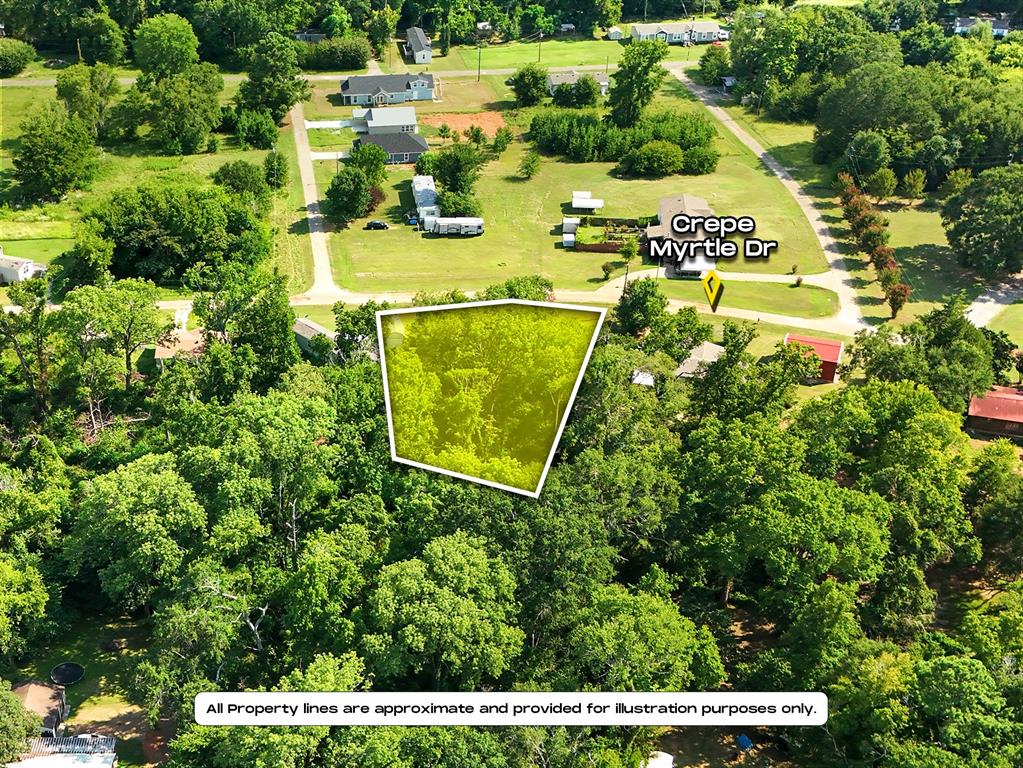 312 Crepe Myrtle Drive