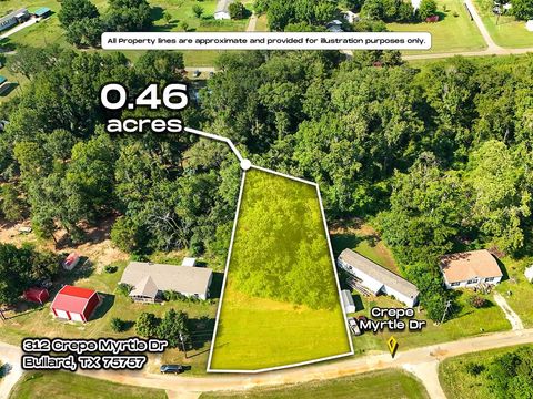 312 Crepe Myrtle Drive Bullard TX 75757